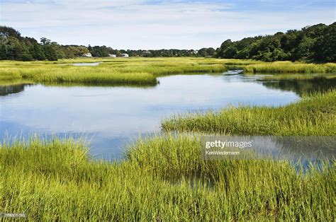 Salt Marsh At Full Tide High Res Stock Photo Getty Images