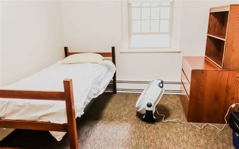 College Student S Dorm Room Goes From Prison To Palace In Makeover Video Trendradars Uk