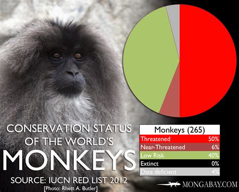 Chart The Worlds Most Endangered Monkeys