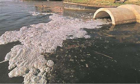 The polluted water also often makes its way into the water tables and the public water system, which means it's in the drinking water you access. Vaal Pollution: 'It's Nomvula's fault' | Citypress