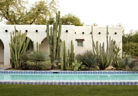 10 Ideas To Steal From Desert Gardens Gardenista Pool Landscaping Desert Landscaping