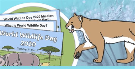 Celebrating World Wildlife Day Twinkl