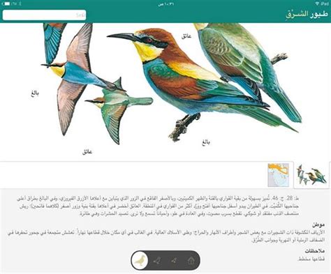 The Production Of The Free App For The Birds Of The Middle East Arabic