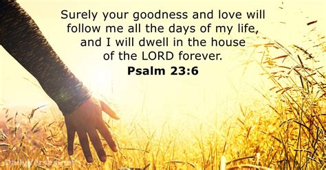 Psalm 23 6 Bible Verse DailyVerses Net