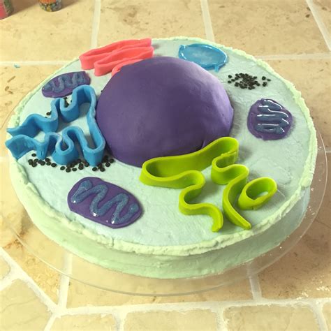 Animal Cell Cake 3d Cell Model Cell Model Project Cells Project