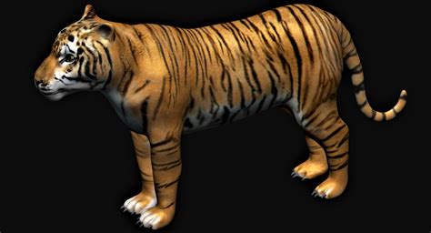 Fully Rigged Tiger 3d Model Turbosquid 1689980