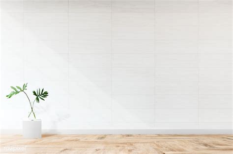 Plant Against A White Wall Mockup Free Image By Living