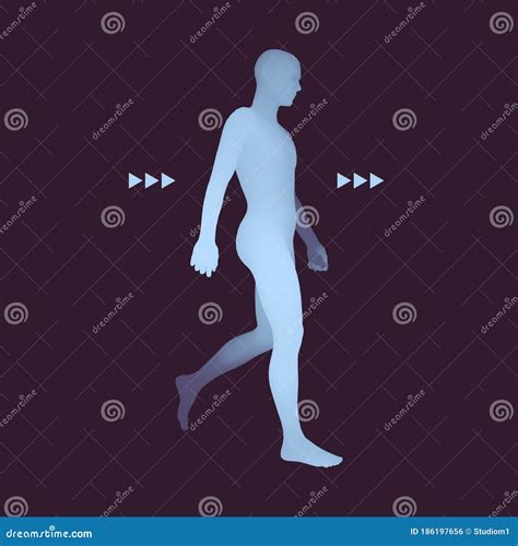 Hombre Caminante Modelo De Cuerpo Humano D Elemento De Dise O