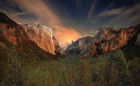 The Heavily Wooded Bottom Of Yosemite Valley During Sunset Yosemite