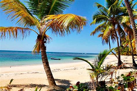 ⭐️ Playa Cosón Guía De Playas De Las Terrenas República Dominicana