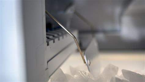 Why Samsung Refrigerator Ice Smells Bad Sharper Service Solutions