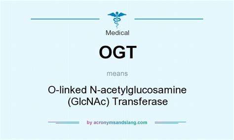Ogt O Linked N Acetylglucosamine Glcnac Transferase In Medical By