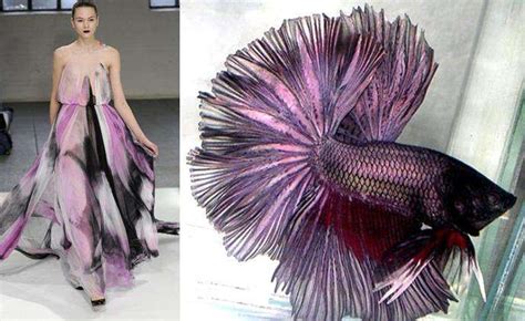 Fish Scale Gowns Fish Fashion Sea Inspired Fashion Fish Dress