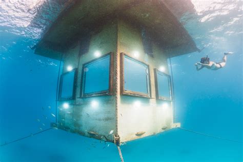 Underwater Photo Photographer Anhede Kickass Photos No More No Less