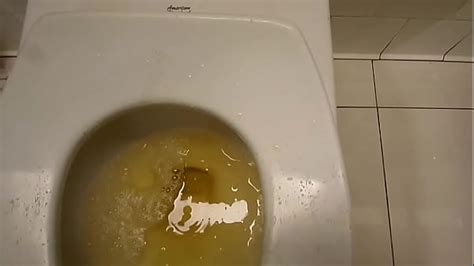 peeing in a public toilet stall xxx mobile porno videos and movies iporntv