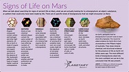 Signs of Life on Mars | The Planetary Society
