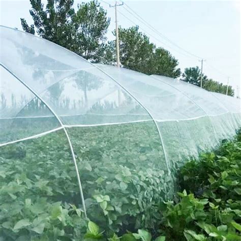 10m Garden Netting Crops Plant Protect Mesh Bird Net Insect Animal