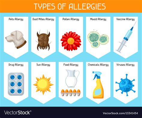 Types Of Allergies Background With Allergens And Vector Image