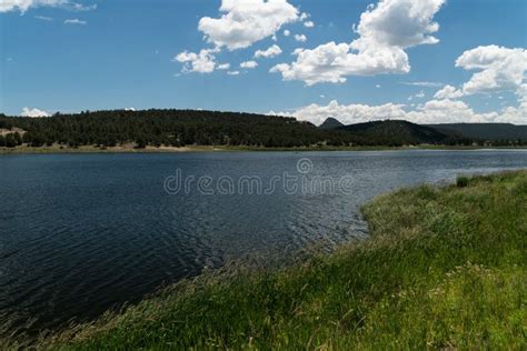 The Grassy Shore Of Quemado Lake New Mexico Stock Photo Image Of