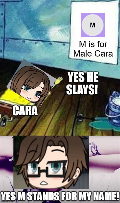 M Is For Male Cara Imgflip