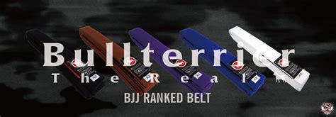 Bullterrier New Jiu Jitsu Belt Ranked Available