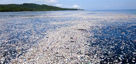 Savez Vous Doù Proviennent Les Déchets Plastique De Locéan Pacifique