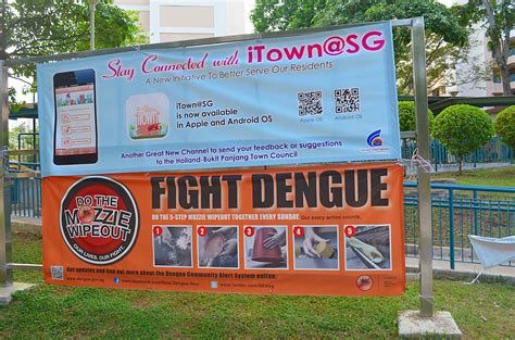 Delving Into Dengue Part 3 Singapores Efforts