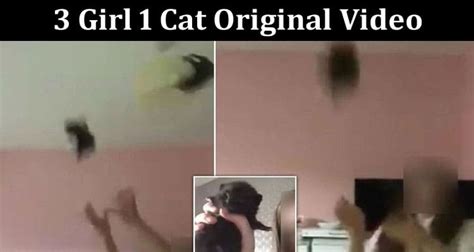 [full video link] 3 girl 1 cat original video check what is in the 3 girl and 1 cat video viral
