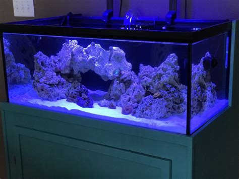 40 Gallon Breeder Tank With Overflow Wese Aquarium Fish