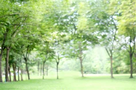 Premium Photo Blurred Spring And Summer Nature Outdoor Background