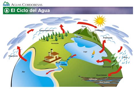 Descubriendo Mi Entorno El Ciclo Del Agua