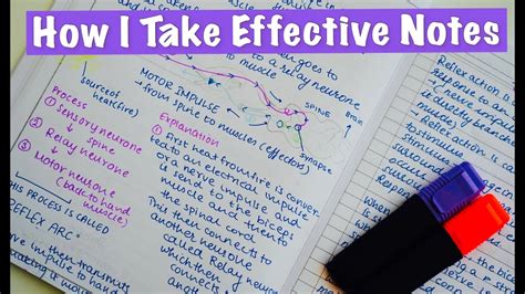 How I Take Effective Notes Tips And Methods You Dont Need Aesthetic
