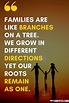 Inspirational Family Quotes and Family Reunion Quotes (2021)