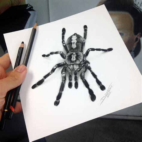 Quick Tarantula Sketch By Atomiccircus On Deviantart