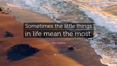 Ellen Hopkins Quote Sometimes The Little Things In Life Mean The Most