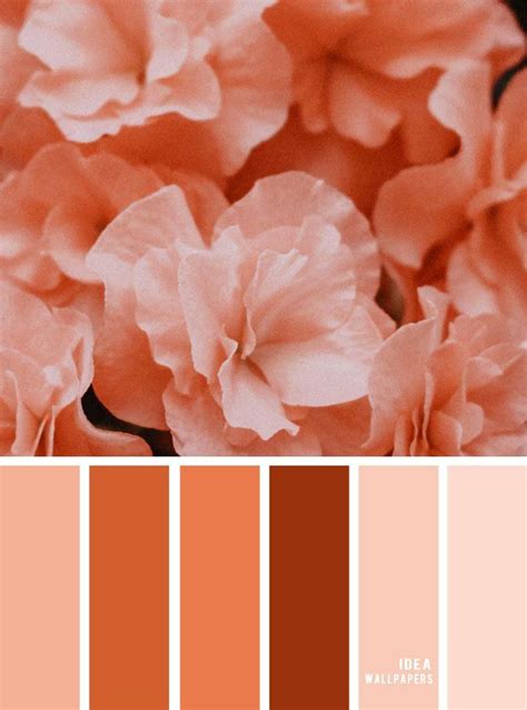 Color Inspiration Peach Color Palette Color Colorinspiration Peach