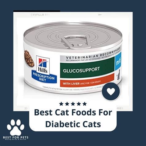 15 Best Cat Foods For Diabetic Cats In 2023