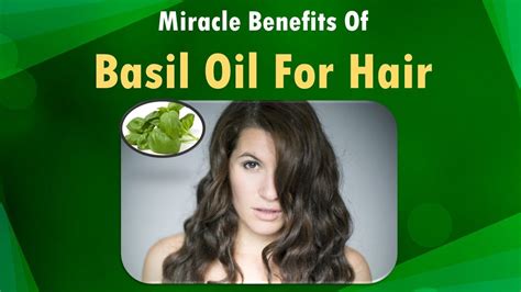 Miracle Benefits Of Basil Oil For Hair Anita Fincham Aromatherapy