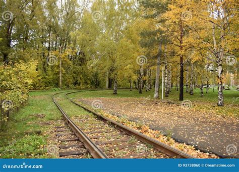 Autumn Railway Stock Photo Image Of Photoghaphy Road 93738060