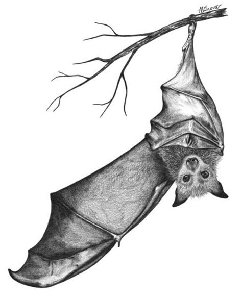 Bat Tattoo Wishes Bat Tattoo Bat Art Art
