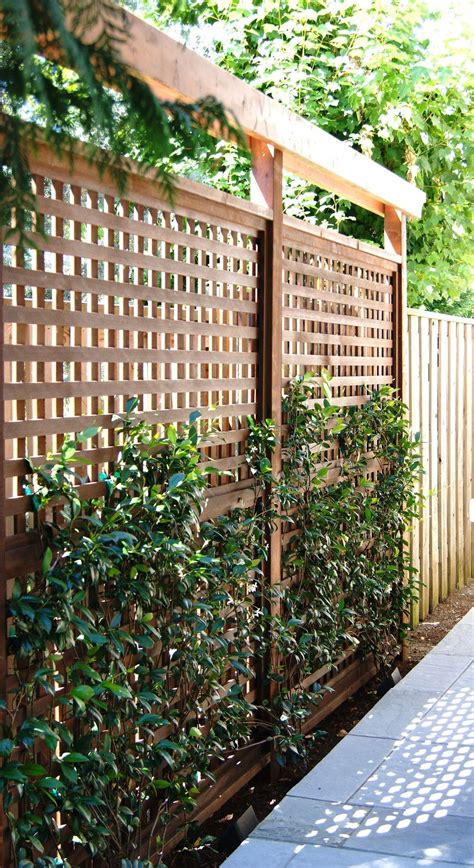 47 Cheap Privacy Landscaping Ideas Privacy Landscaping Privacy