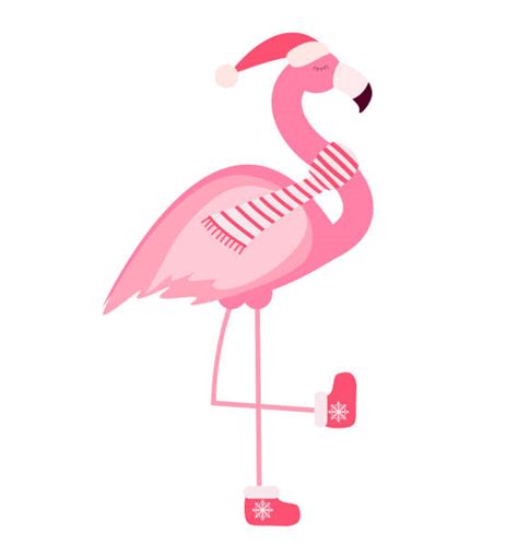 Best Christmas Flamingo Illustrations Royalty Free Vector Graphics