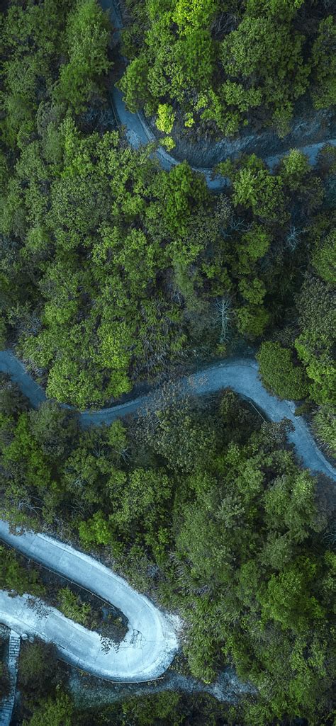 Forest Wallpaper 4k Road Aerial View Drone Photo Cold Landscape