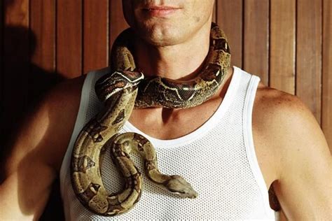 A Guide To Caring For Boa Constrictors As Pets Boa Constrictor Red