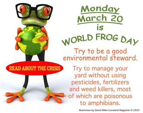 Monday Is World Frog Day Loveland Magazine