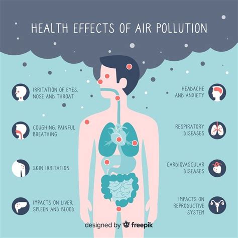 Free Vector Pollution On Human Body Infographic Infographic