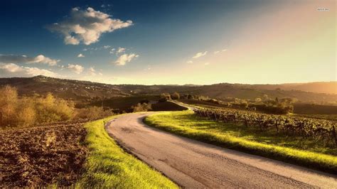 Sunny Day Country Road Landscape Country Roads Forest Landscape