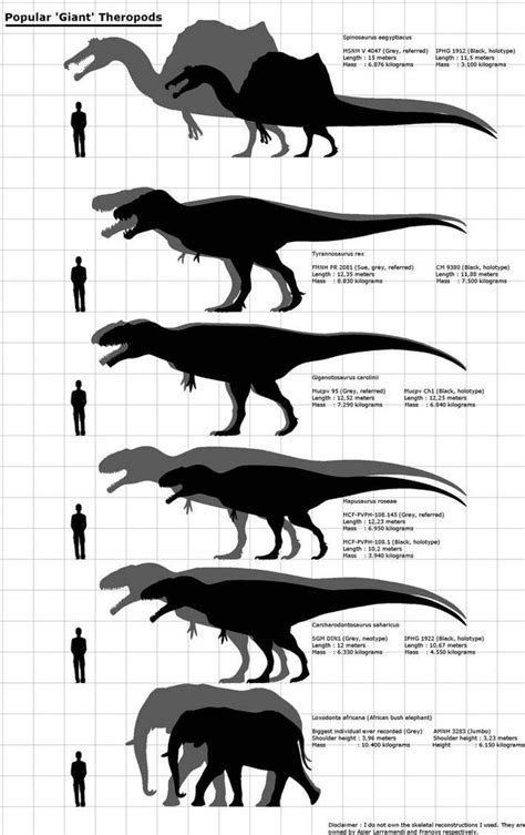 Popular Giant Theropod Size Comparison Dinosaurs