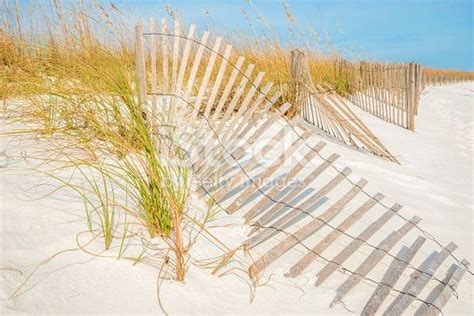 Navarre Florida Beach Dunes Dune Fence Dune Grass On The Gulf Of Florida Beaches Beach