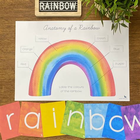 Rainbow Anatomy Butterfly Homeschool Montessori Bugs Etsy